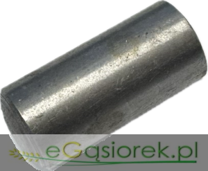 Kołek 10M6X20  996501