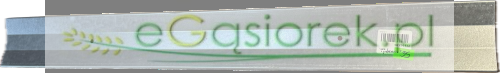 IMG_7853.png