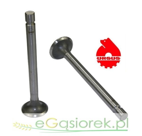 50008470U zawór.jpg