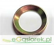 Pierścień zwrotnicy 731107