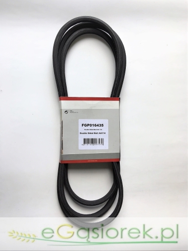 pas FGP016435.jpg