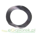 50505180.jpg