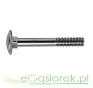 Śruba zamkowa M10x70 ocynk kl.8.8