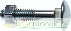 Śruba zamkowa M 6x35 z nakrętką KL 4.6 ocynk