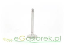 Zawór ssący chromowany  T25