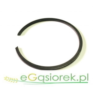 Pierścień osadczy 237852