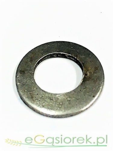 50021090.jpg