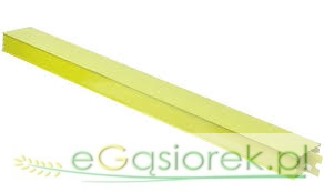 Rynna elewatora 2500mm