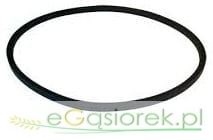 Pas klinowy HA 13x1250 A48 DAYCO