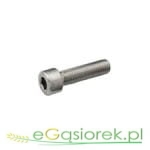 Śruba imbusowa z łbem walc  M 5x25  kl 8 8 ocynk