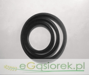 Komplet uszczelniaczy cylindra D47 Sanok INCO
