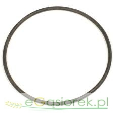 oring 300x4.jpg
