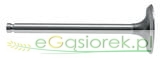 Zawór ssący  MF 235 / 255 / Ursus 2812 / 3512 / 35
