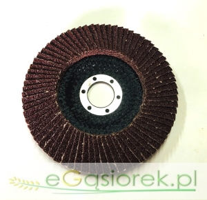 Tarcza płatkowa N41 125x22 GR40