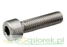 Śruba M10x30 ocynkowana imbusowa KL8.8