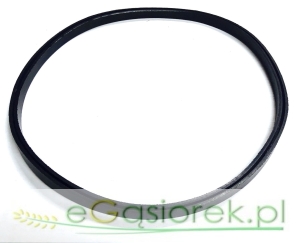 Uszczelka filtra średnia Fi-250