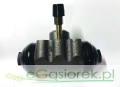 cylinderek 1701030M91.jpg
