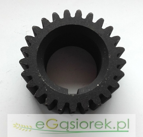 0410132 31163491.jpg