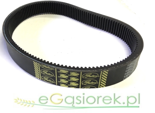 670224 pas.jpg