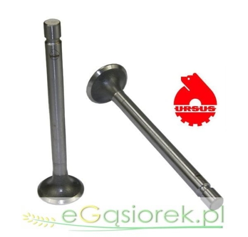 50505061U zawór.jpg