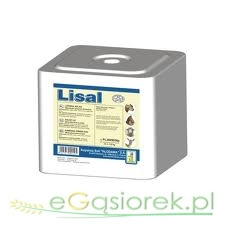 Sól lizawka Biała 10KG