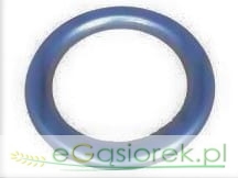 Odrzutnik oleju tylny T-25