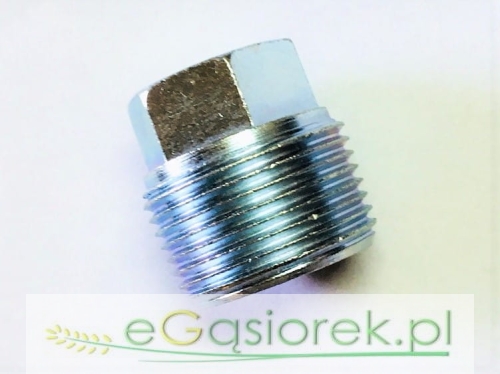 55010219.jpg