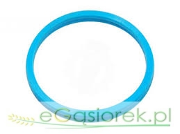 Pierścień 218188 712348