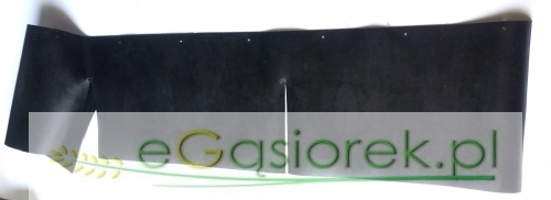 505058021.jpg