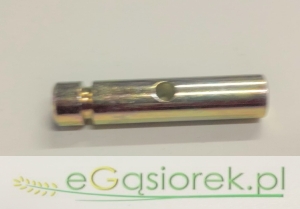 Sworzeń hamulca T25