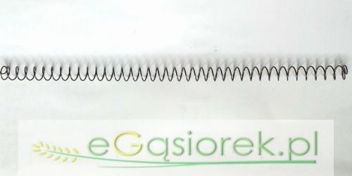 31754118.jpg