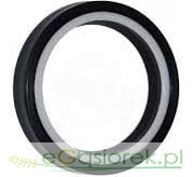 Pierścień (do Dominatora)