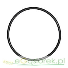 Pierścień oring 60x02