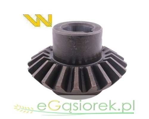W-5036010670   ..jpg