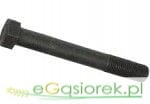 Śruba stopy C-385   80002016
