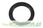 Uszczelniacz simering 20x40x10
