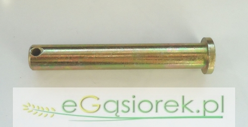 54660127.jpg