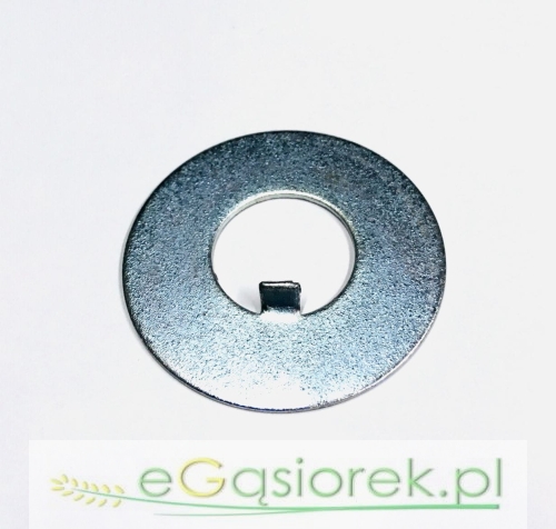 5609000310.jpg