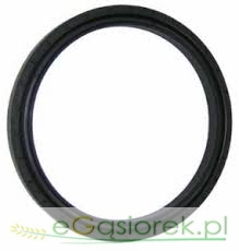 Uszczelniacz 1441843M