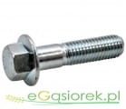 Śruba z kołnierzem zębatym 10x25 KL 8 8 sześciokąt