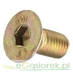 Śruba M12x25 imbus 10 talerza 8.8  Z-070/105/125
