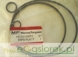 Zestaw naprawczy MF1810318M91