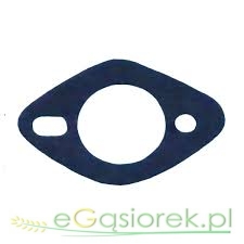 Uszczelka pompy paliwa T25