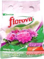 florowit.jpg
