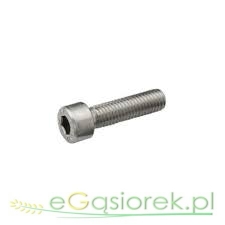 Śruba imbus M 6x30 ocynk kl.8.8