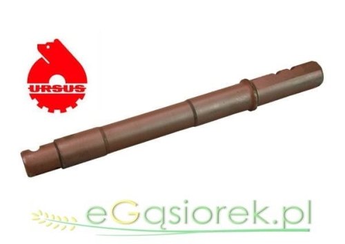 50434161U sworzeń.jpg