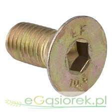 Śruba M12x35 imb 8 KL10.9  trzymak noża kosiarka