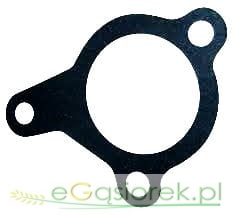 Uszczelka wlewu oleju C385