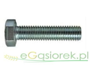 Śruba cały gwint M 16x100  KL 8 8